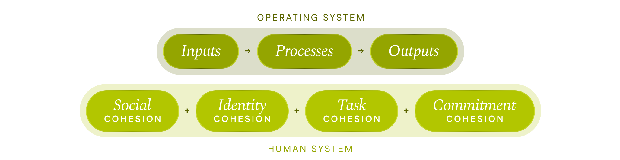 Team Cohesion & Performance™ framework diagram